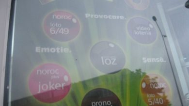loto_193.jpg
