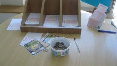 lotof_258715.jpg