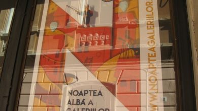 noaptea-galeriilor22.jpg