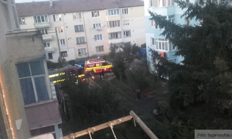 BRAȘOV - Făgăraș. Și-a speriat vecinii 1 smurdfagaras.jpg