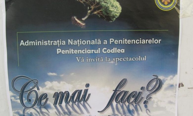teatru-detinuti.jpg