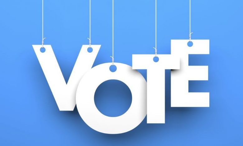 Tanti Elvira și referendumul 1 vot_6.jpg