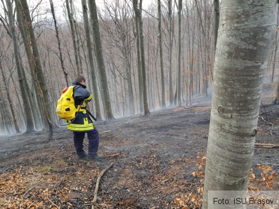 BRAŞOV. Pompierii intervin încă la incendiul de pădure izbucnit ieri, la Holbav (FOTO) 1 IMG-20181101-WA0004_259030.jpg
