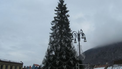 IMG_0675_260414.JPG