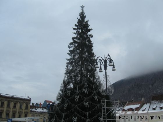 IMG_0675_260414.JPG