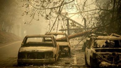 california_16.jpg