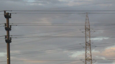img-8988_3.jpg