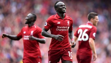 mane_3.jpg