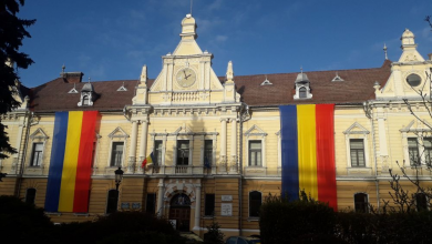 primaria.jpg