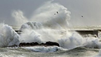 -tsunami.jpg