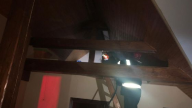 IMG-20181218-WA0001_261334.jpg