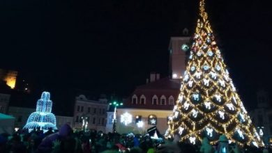 brad-Brasov1_260587.jpg