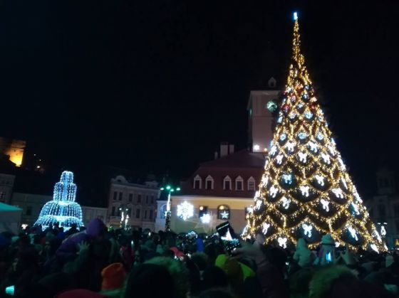 brad-Brasov1_260587.jpg