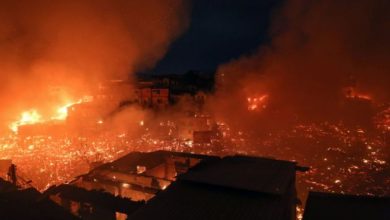 brazilia_261366.jpg