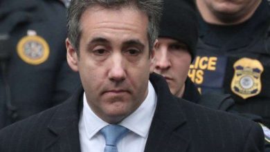 cohen_3.jpg