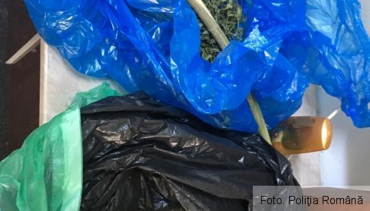 Tânăr de 28 de ani, reținut după ce ar fi vândut droguri într-un bar din Cluj-Napoca 1 droguri_4.jpg