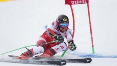 hirscher_9.jpg