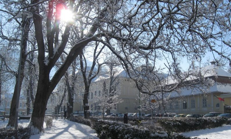 img-7049_2.jpg