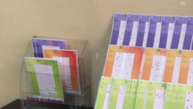 loto_204.jpg