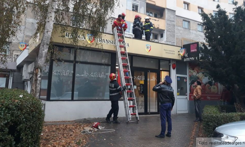 O femeie a murit după ce s-ar fi aruncat de la etajul 10 1 sinuciderepitesti.jpg