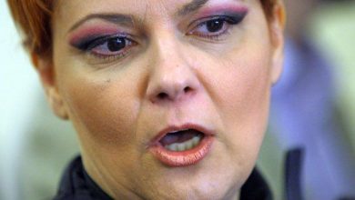 vasilescu_3.jpg