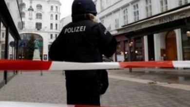 viena_4.jpg