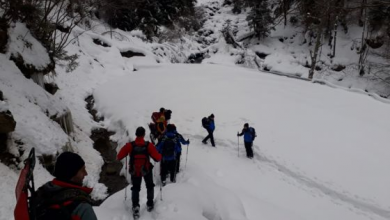 IMG-20190119-WA0005_262489.jpg