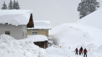 alpi_4.jpg