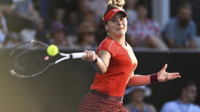andreescu_2.jpg