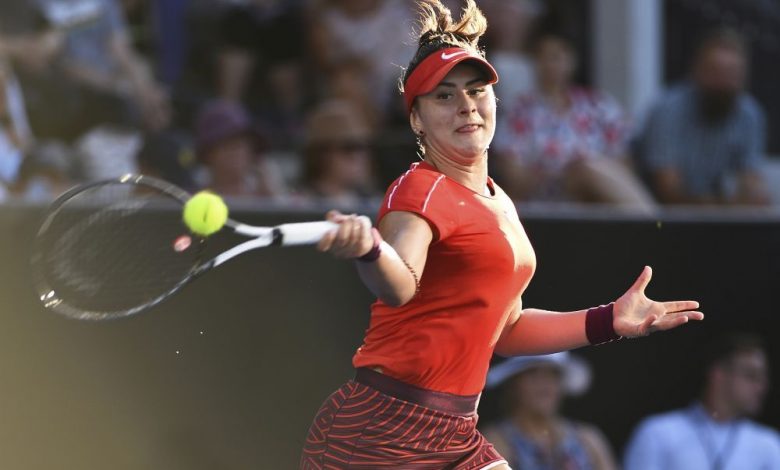 andreescu_2.jpg