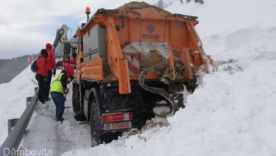 avalansautilaj.jpg