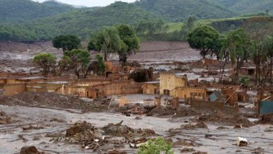brazilia_10.jpg