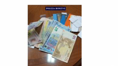 camata1.png