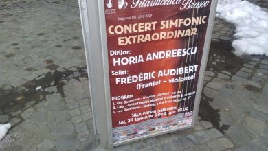 concert_26.jpg