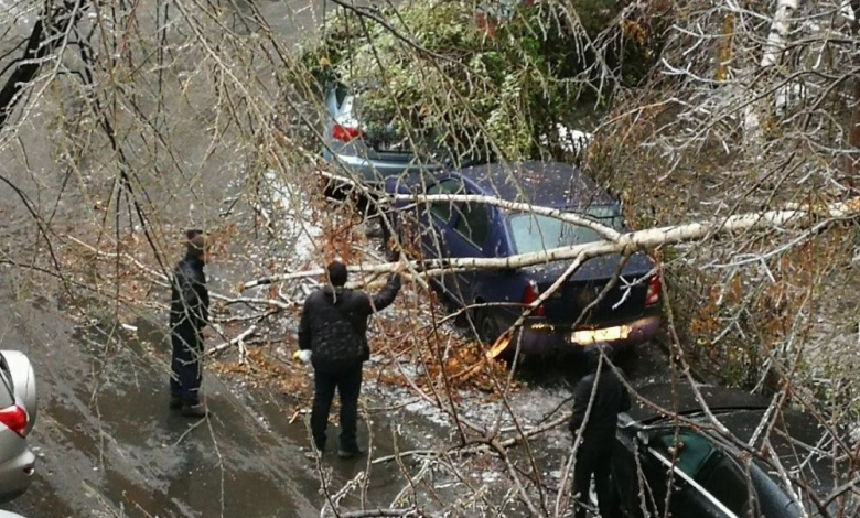 MAI: Peste 2.200 de copaci şi 44 de stâlpi au căzut, avariind 363 de autoturisme, din cauza vremii 1 copacicazuti.jpg