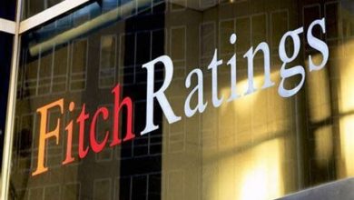 fitch_3.jpg