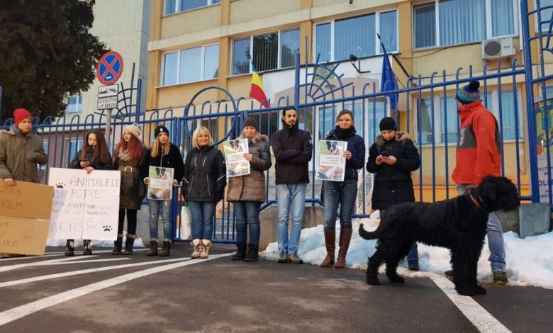 BRAȘOV. Protest în fața sediului IJP Brașov, în cazul cățeilor lăsați să moară în adăpostul de la Prejmer. Update: Administratorul Rainbow Shelter va fi plasat sub control judiciar 1 img-20190121-wa0002.jpg