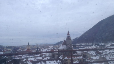 img-5550.jpg