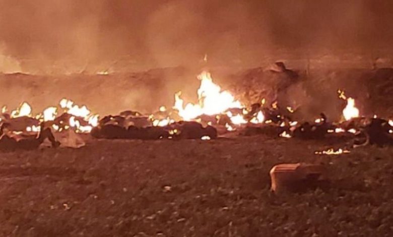 21 de morți în urma exploziei unei conducte 1 mexic_20.jpg