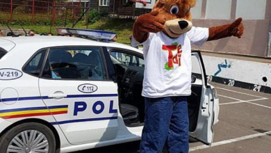 tedi.png