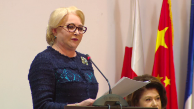 dancila_2.png