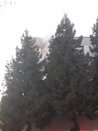 incendiu carpatilor 3_263140.jpg