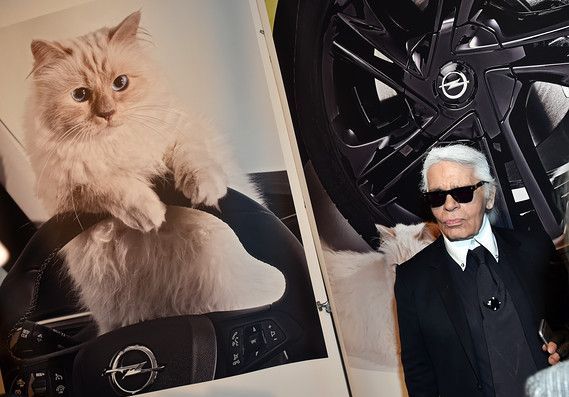 Pisica lui Karl Lagerfeld va moşteni o avere fabuloasă 1 karl.jpg