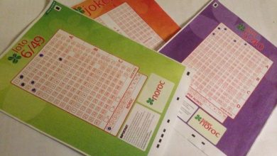 loto_221.jpg