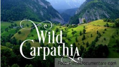 wild-carpathia.jpg