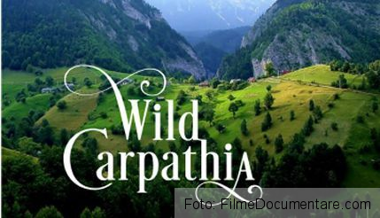 wild-carpathia.jpg