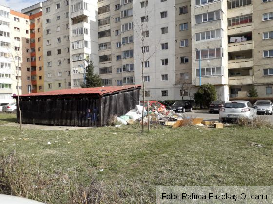 BRAŞOV. Gunoaie şi... căpuşe, la început de primăvară 1 20190325_151524_264968.jpg