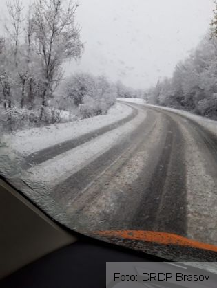 IMG-20190326-WA0008_264959.jpg