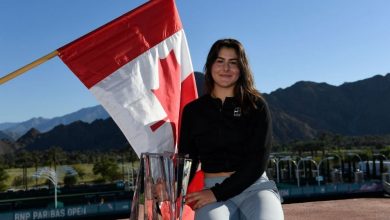 andreescu_4.jpg