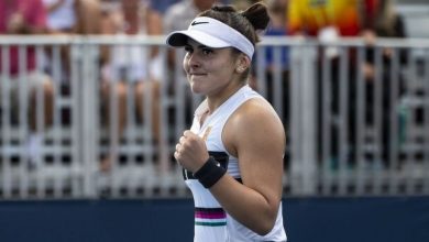 andreescu_5.jpg